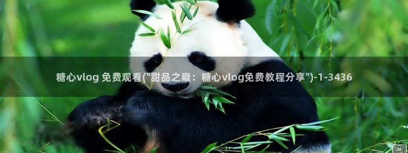 av软件糖心vlog：糖心vlog 免费观看(\