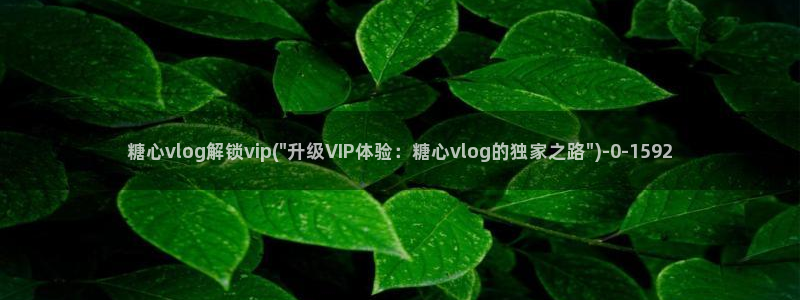 糖心vlog无法充值