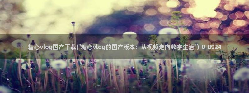 糖心vlog林夕图片