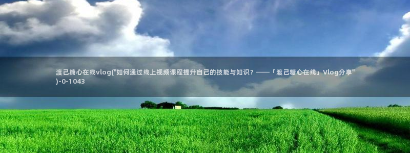 糖心视频vlog首页